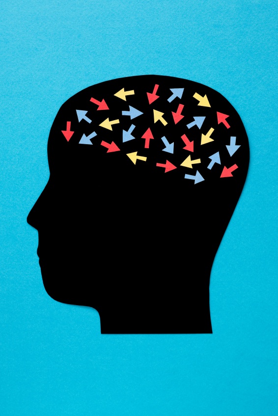 Vanderbilt University