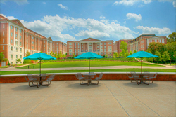 The Commons The Commons