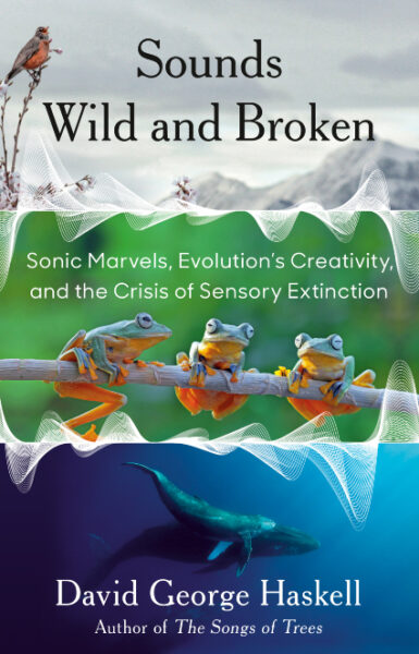 Sounds Wild and Broken by David George Haskell