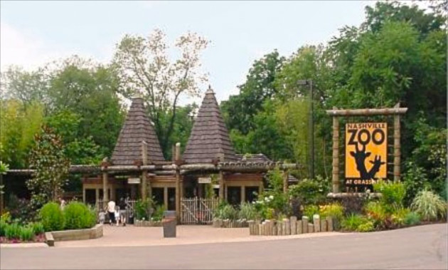 Vanderbilt University