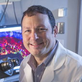 Vanderbilt University