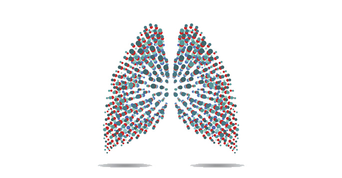 abstract mage of lungs