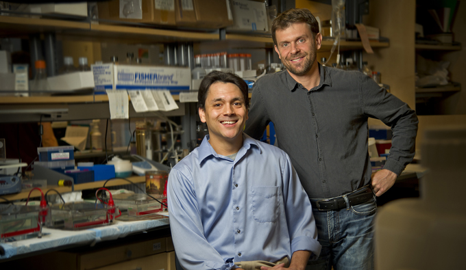 Vanderbilt University