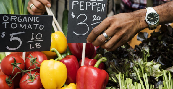 Close-up of man's hand placing price signs on vegetable market display