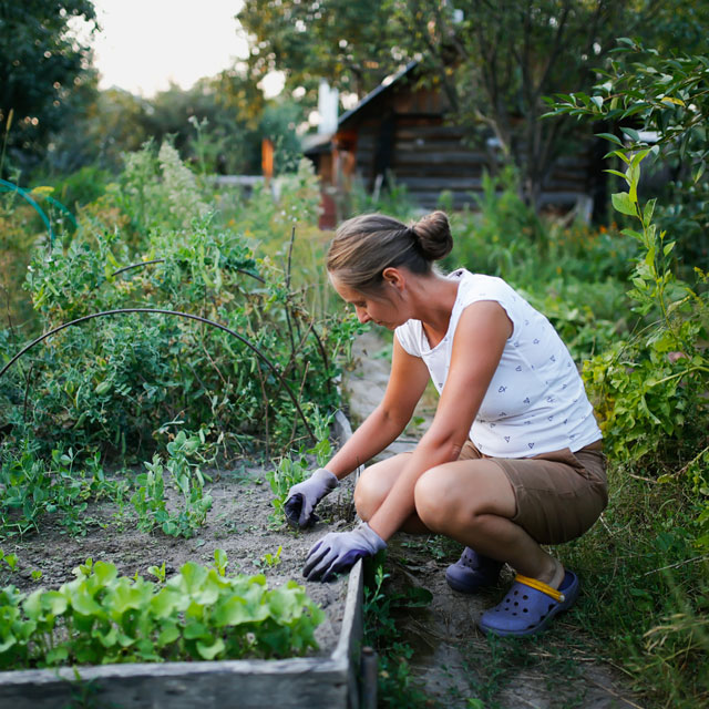 Woman squats in an outdoor garden doing yard work, in a post about how to protect your back.