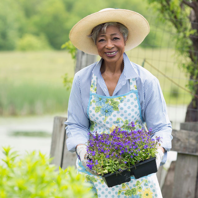 A middle-aged woman holds a tray of purple flowers standing in a garden.
