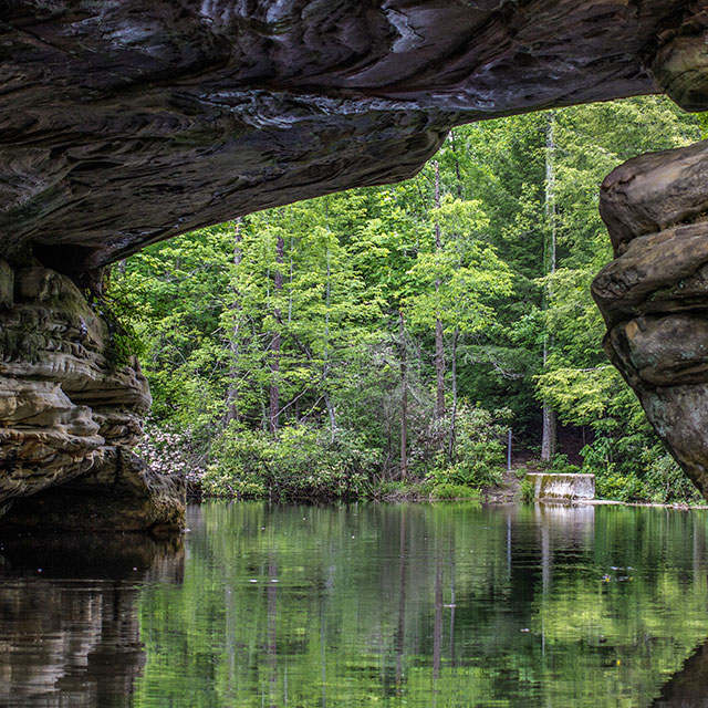 Tennessee staycation ideas