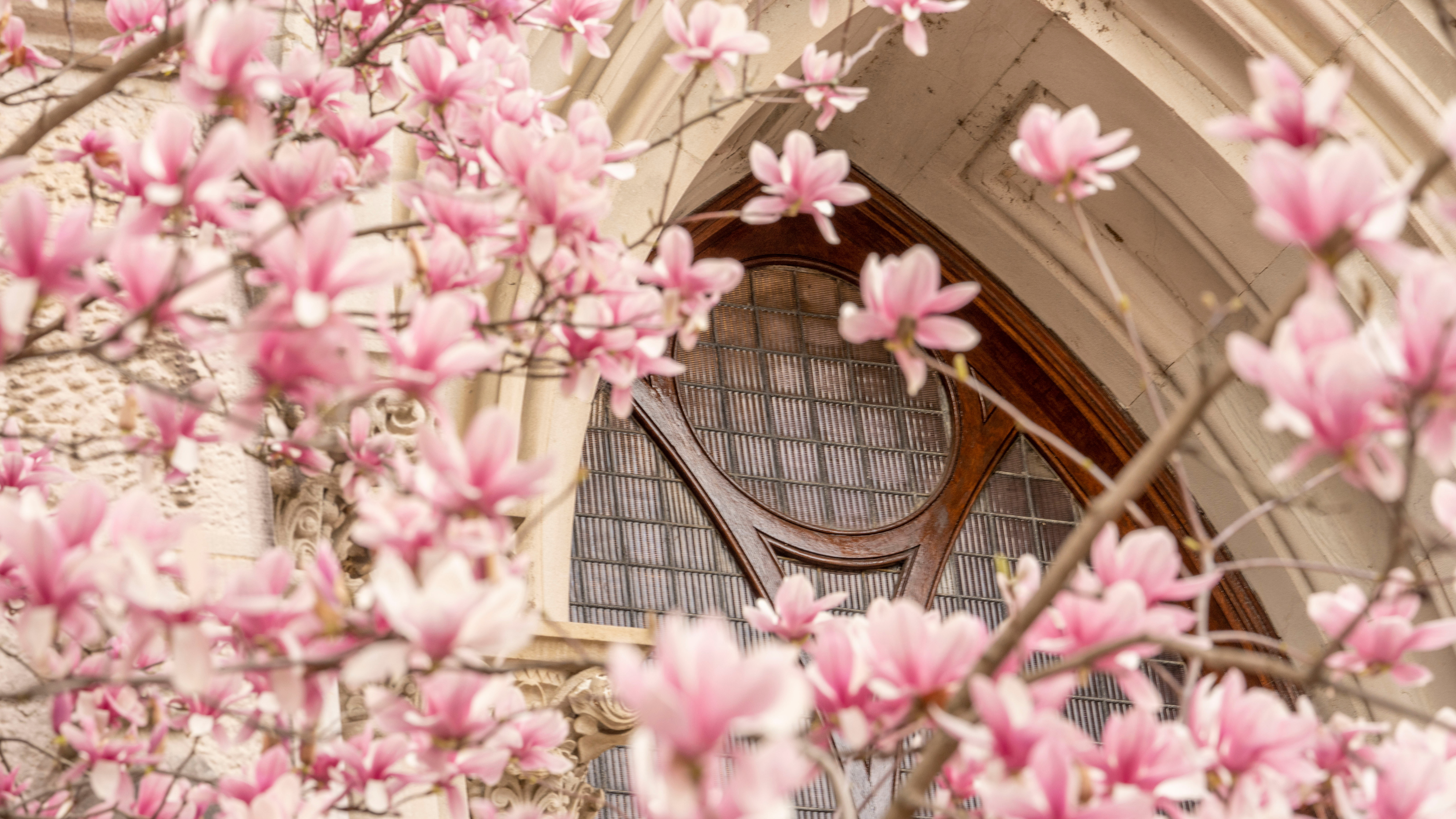 Vanderbilt Campus in Winter