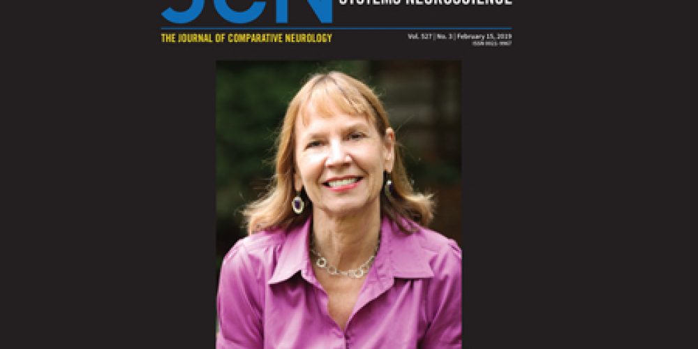 Casagrande honored in special issue of the Journal of Comparative Neurology