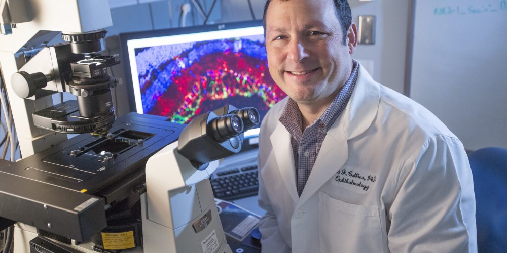 Calkins lands innovation award from Research to Prevent Blindness
