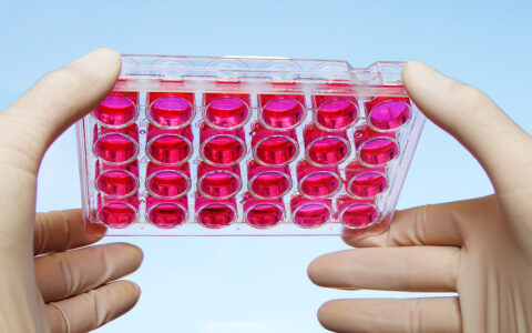 Gloved hands handling lab equipment