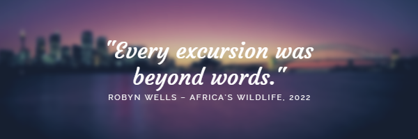 Africa trip quote 
