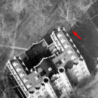 champion sugarberry champion sugarberry