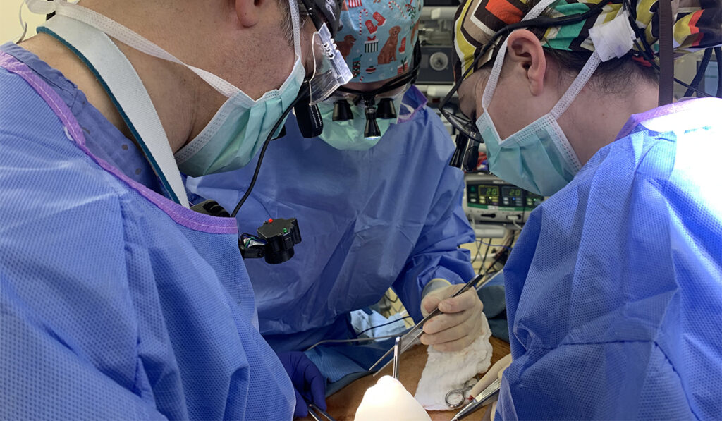 Surgeons wearing neck cameras for surgical training