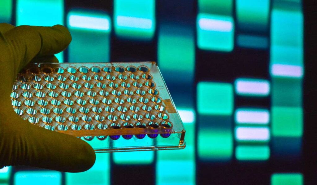 Testing container for molecular landscapes for appendiceal cancer.