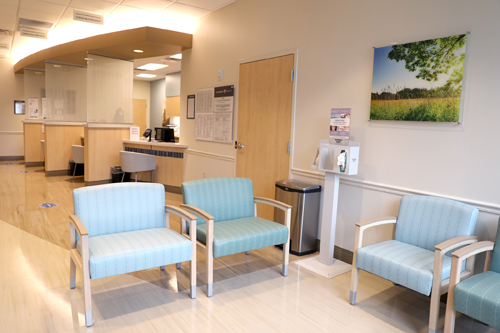 A brightly lit waiting area filled with nature-inspired artwork greets visitors. 