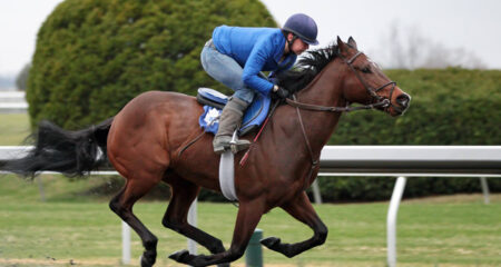 Nethery is an avid equestrian, cyclist, fencer and rock climber.