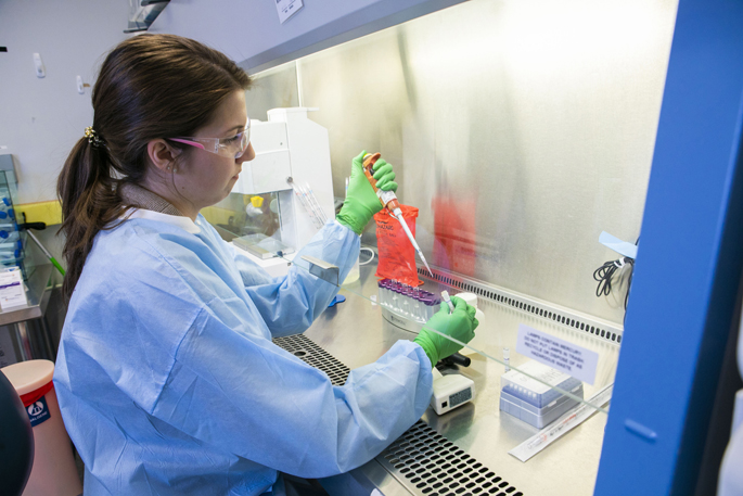 Lab manager Rachel Nargi prepares a B-cell culture during the recent “sprint” to develop an antibody-based treatment for Zika virus infection.