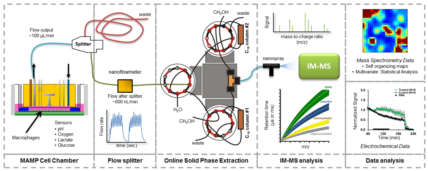 Online IM-MS Workflow