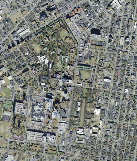 The arboretum is an island of trees in an urban sea