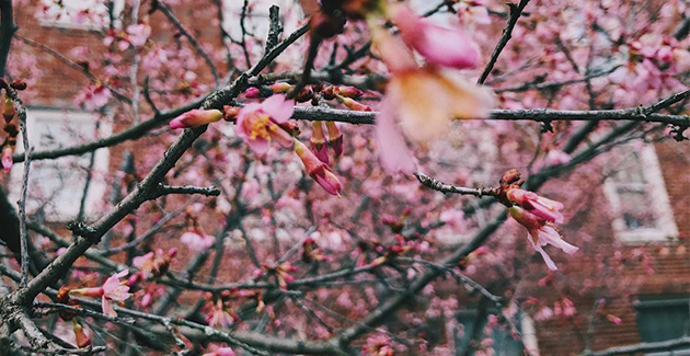 Our favorite #vandygram of the week!