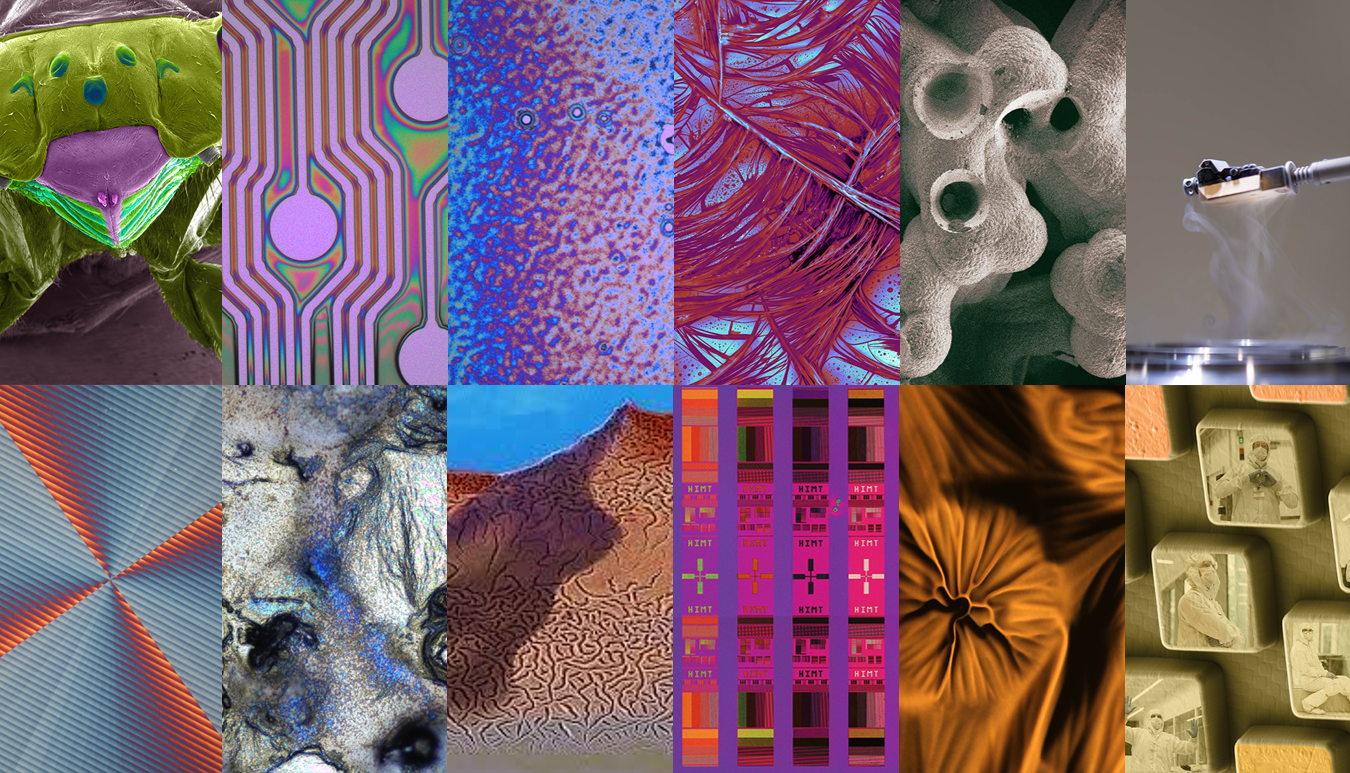 Vanderbilt University