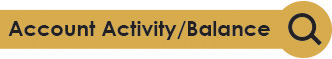 Account Activity & Balance