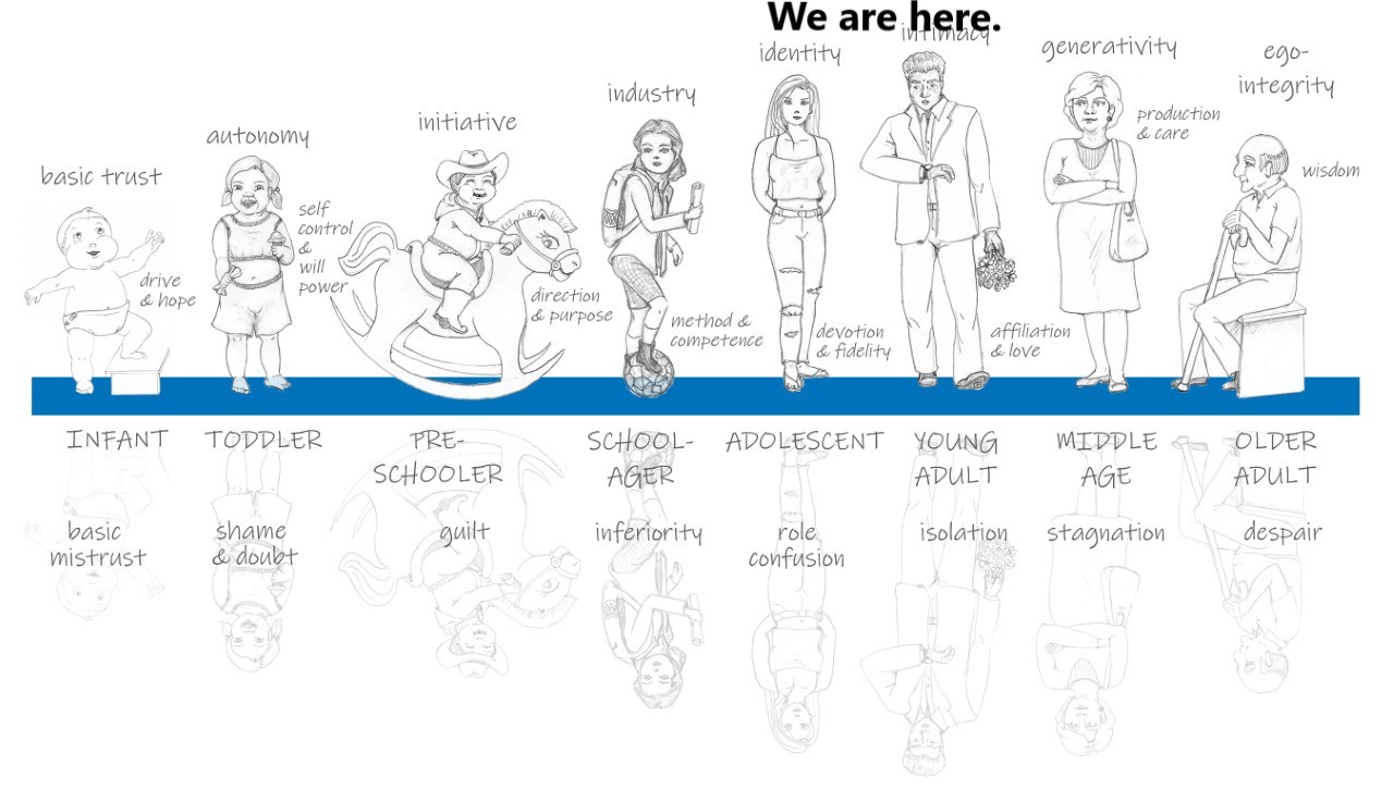 Stages of Life graphic