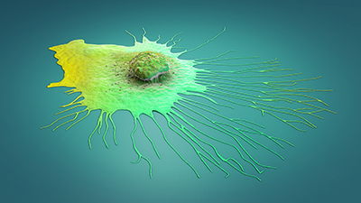 3D illustration of a green, migrating breast cancer cell on a green background.
