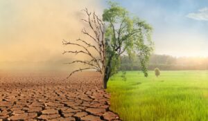 Migrating in Climates