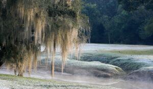 The Politics of Developmental Disruption: Memory, Place, and the Pandemic in Southern Brazil