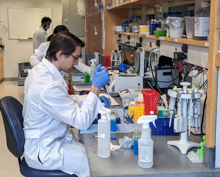 Insect immune insights: Researchers unveil immune system dynamics