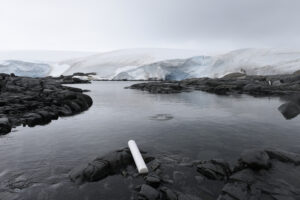 A photo of Jessica Houston's work: Jessica Houston: Letters to the Future - Antarctica, 3019 (2019) Archival Digital Print 48 x 72“ (122 x 183 cms)