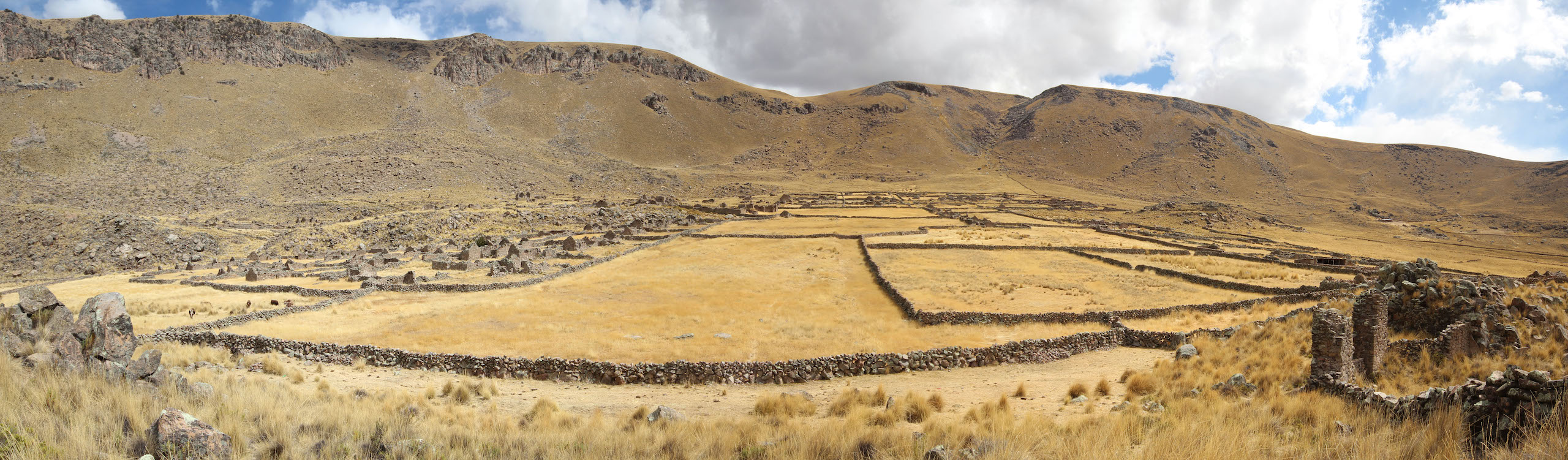 wideshot of field with rock walls