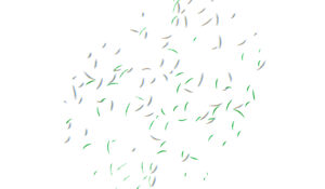 Space 204 welcomes Yael Vishnizki-Levi and work inspired by motherhood, and the marks of childhood