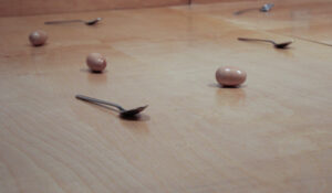 Series of performances scheduled for the nævus (Birthmarks) Space 204 exhibition