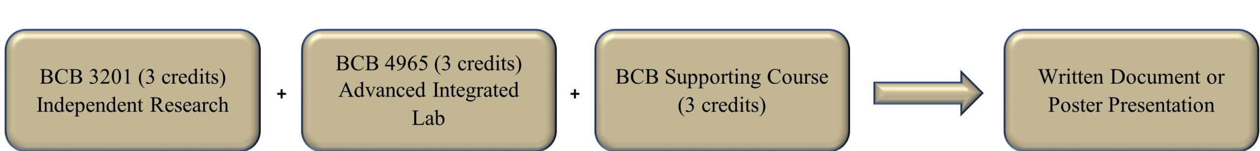 Built-in Immersion Pathway