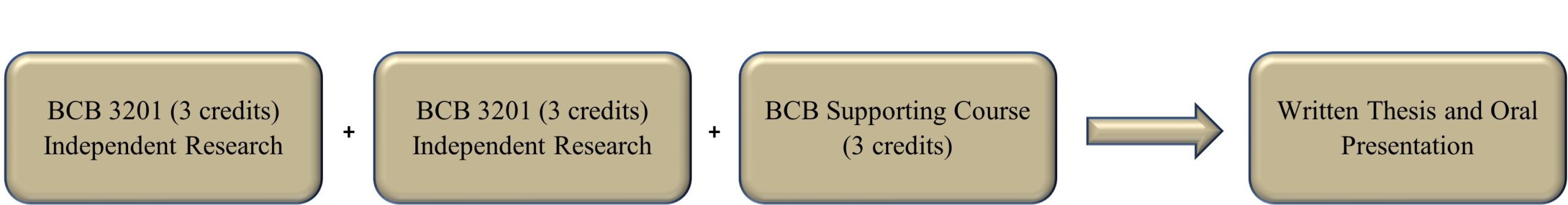 Independent Research Immersion Pathway