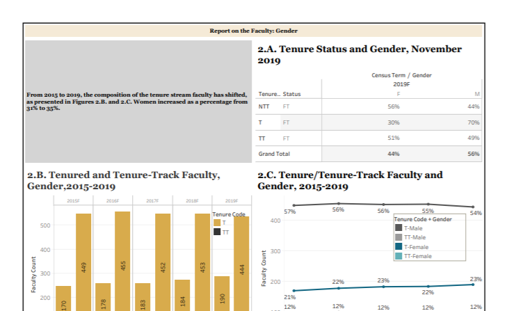Report on the Faculty