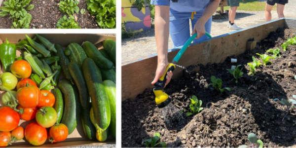 Vanderbilt University