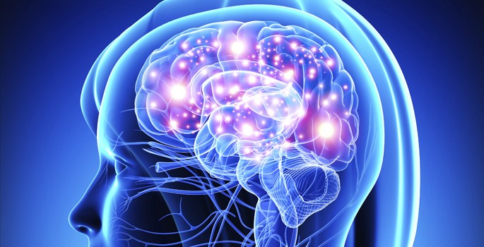 VUMC scientists record powerful signal in the brain’s white matter