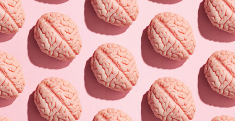 Turning Heads: The Vanderbilt Brain Institute has emerged as a hub of discovery as neuroscience’s influence expands