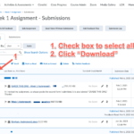 2022-02-22_09-58-06 download assignments