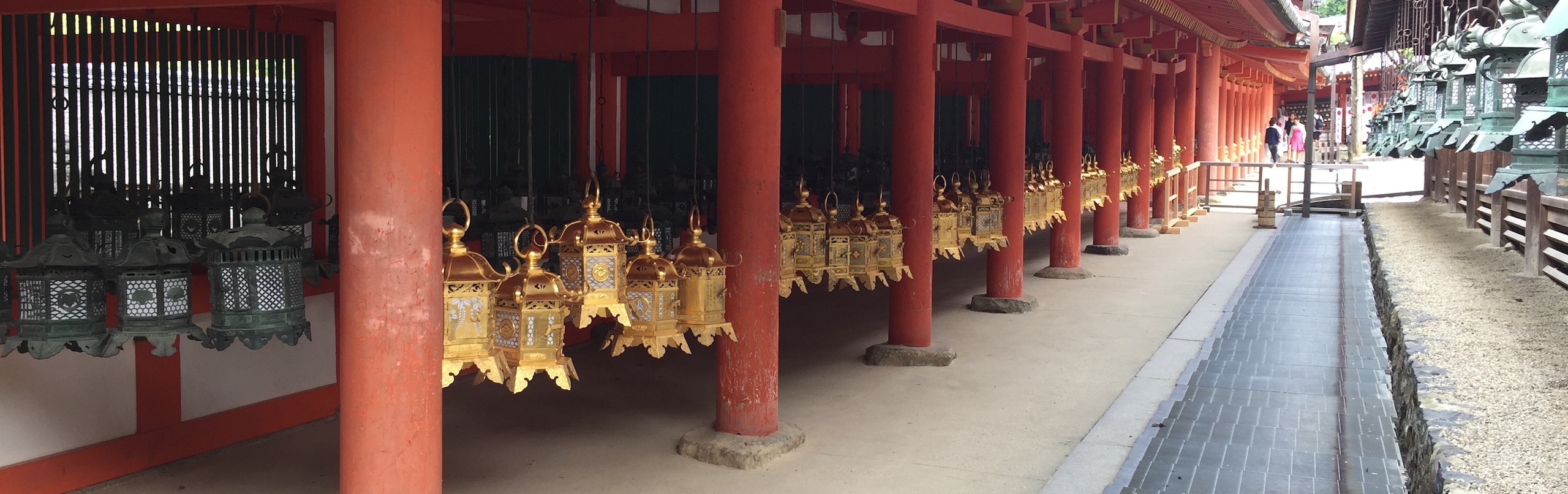 Image from Religious Studies immersion trip showing lanterns hanging in a row