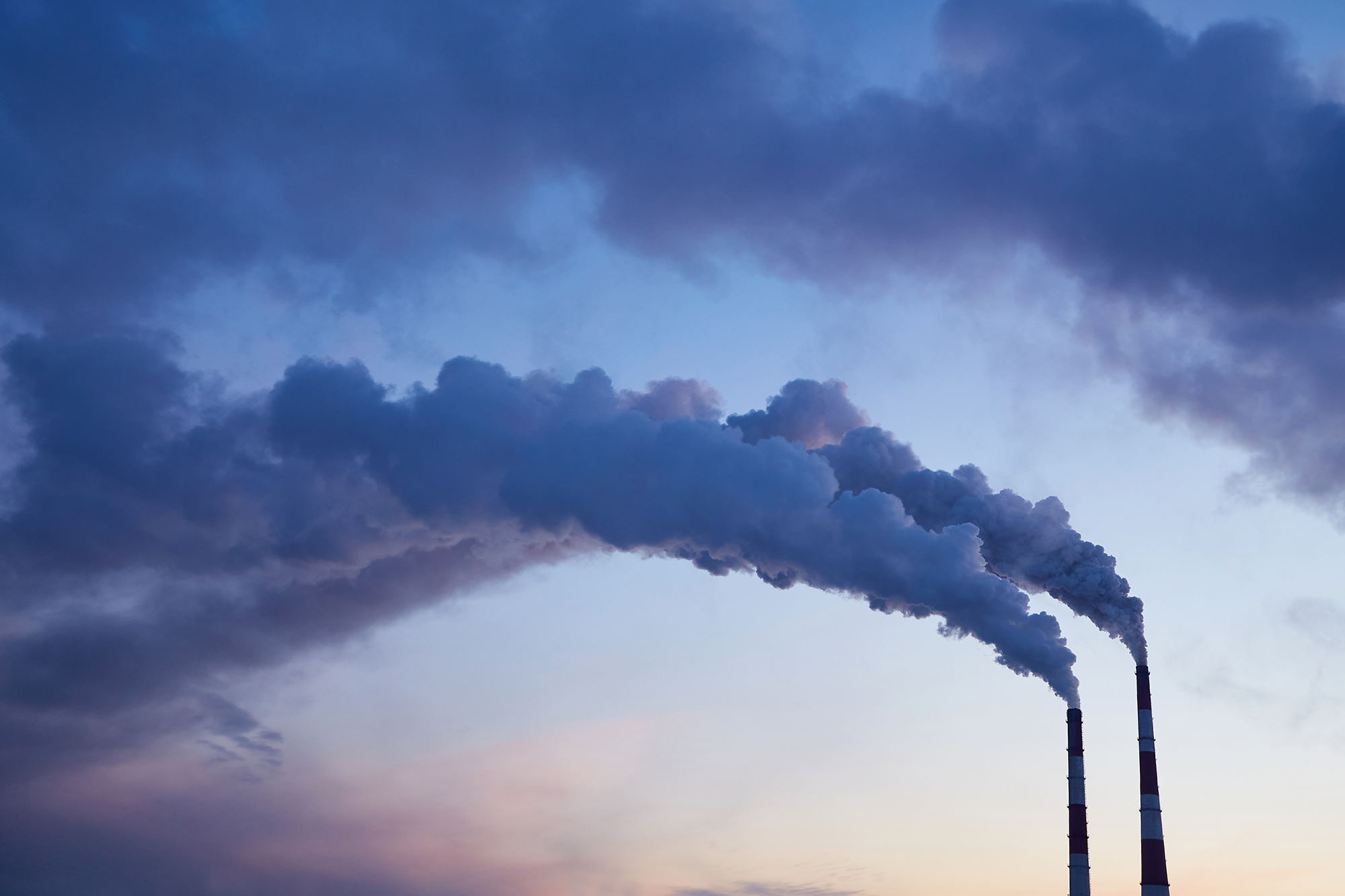 Vanderbilt University