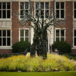 The Tree of Learning