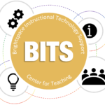 2022 BITS Logo White