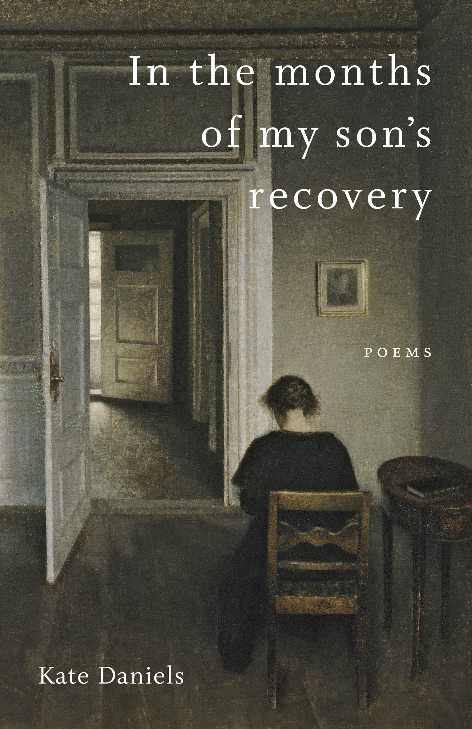 Book Cover In the months of my son's recovery