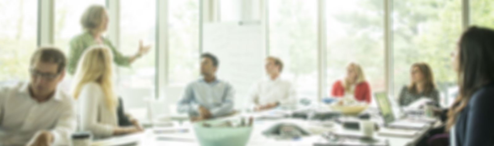 People having a meeting