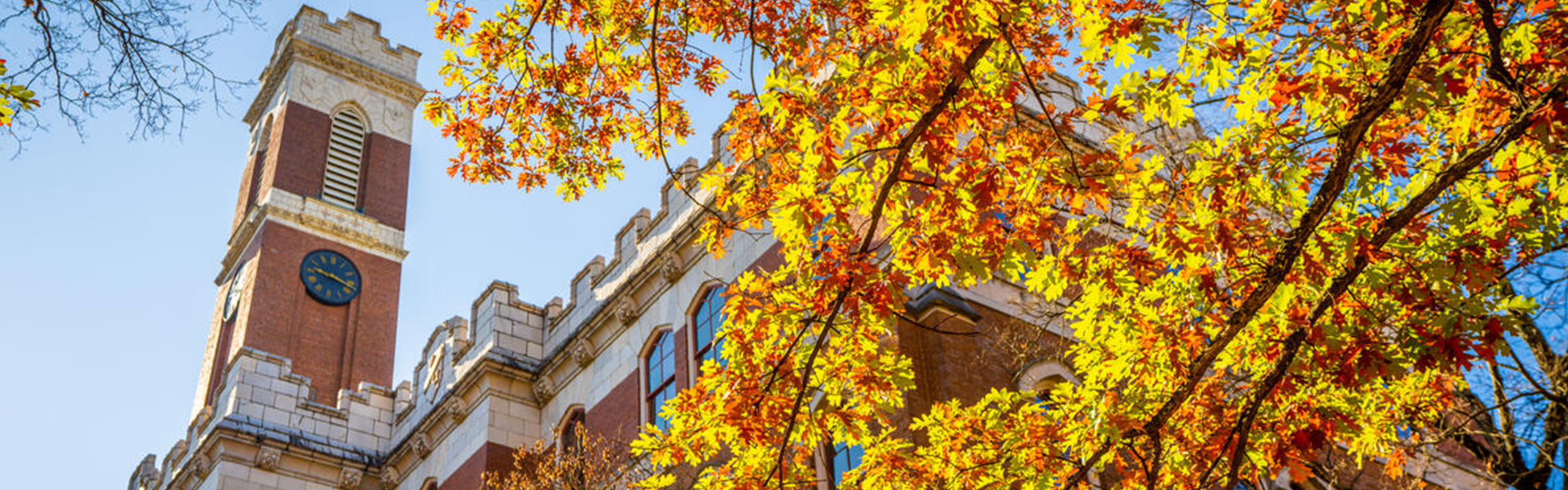 Image of a clocktower on Vanderbilt's campus with autumn leaves in the foreground